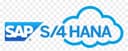 SAP S/4HANA